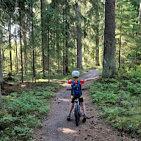 Lapsi pyöräilemässä metsässä